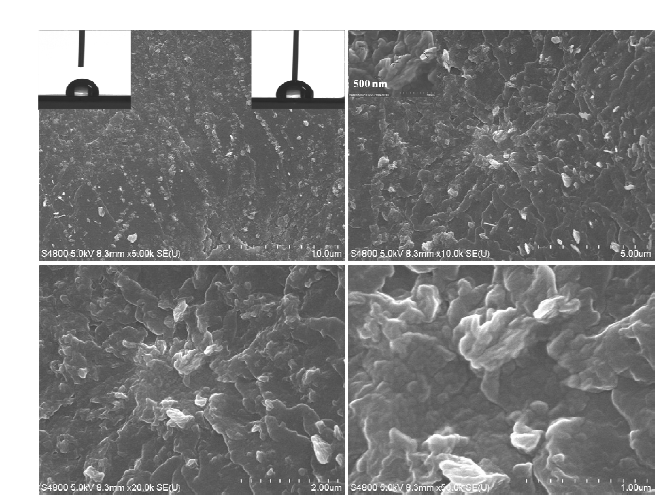 HR-SEM Images of C. japonica leaf (front side) dried at room temperature.