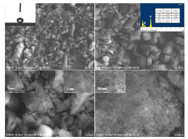 HR-SEM images of CLPPSiOr hybrid micro-nanocomposites dispersed in ethanol/methanol. (Inset) The corresponding EDAX spectrum and their chemical compositions.