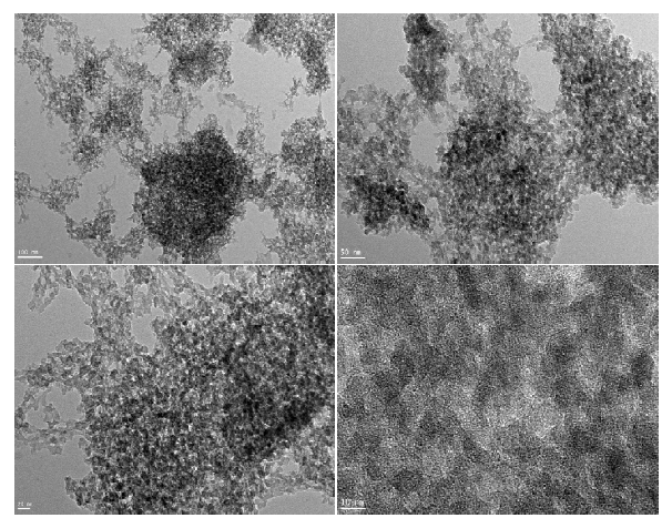 HR-TEM images of CLPPSiOr hybrid micro-nanocomposites prepared at room temperature.