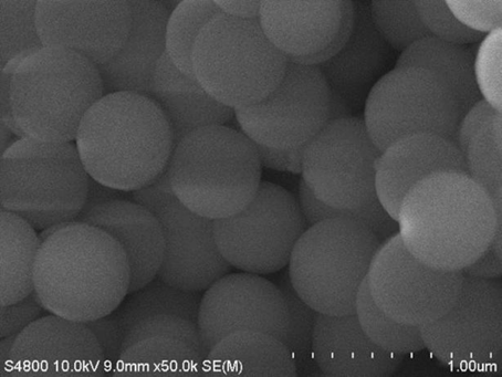 표면 개질된 나노 세공 실리카 물질(PA-MCM-41)의 주사전자 현미경 사진.