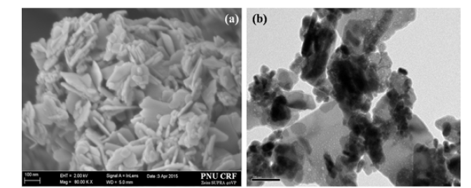 (a) SEM and (b)TEM images of pristine Zn/Al-LDH.