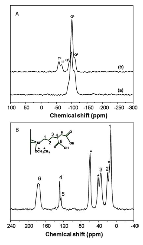 (A) 29Si MAS NMR spectra of (a) CL-MCM-41 and (b) DAMCM- 41 and (B) 13C CP-MAS NMR spectrum of DA-MCM-41.