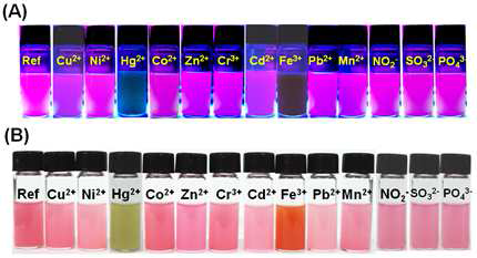 합성된 EB-PMO 화학센서에 대한 NO3 -, SO4 2-, PO4 3-의 첨가에 따른 형광 소광 및 색전이 결과. ((A) 자외선 하에서의 형광소광, (B) 자연광 하에서의 색전 이)
