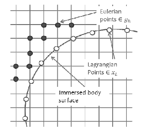 Eulerian and Lagrangian points in the present immersed boundary method