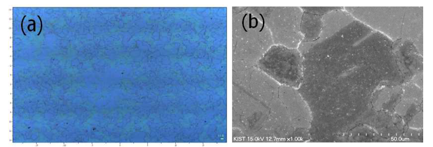 (A) SEM analysis image of as-grown h-BN Nano Sheets synthesized by using the precursor as Borazine on 25 ㎛ Nickel foil (B) Optical image of h-BN Nano Sheets on 300nm SiO2/Si Substrate