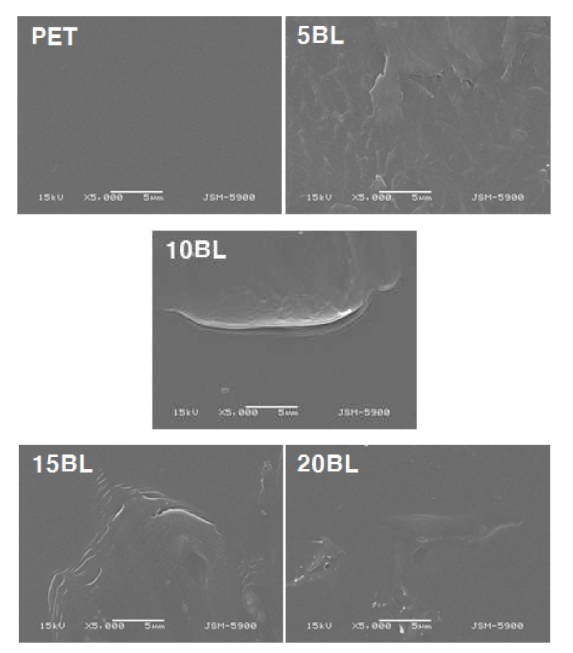 침적 코팅의 횟수에 따른 PET 고분자기질 표면의 SEM 사진