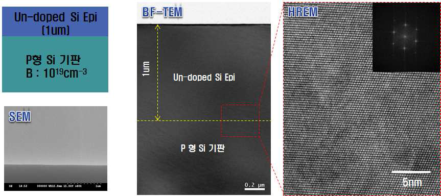 RTCVD를 이용하여 에피 성장된 Si 박막의 품질을 보여주는 주사전자현미 경 및 투과전자현미경 결과
