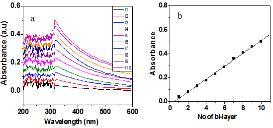 (a) 다양한 이중층의 UV-VIS과 (b)흡광도 vs. 이중층의 개수의 도표