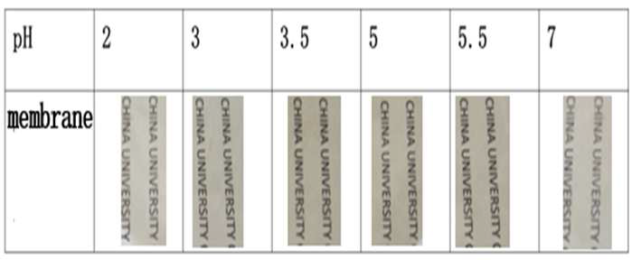 서로 다른 pH의 GO 용액으로 제조된 PEI/GO 필름들의 사진