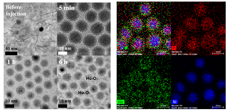 시간에 따른 희토류-전이금속계 Core-shell 나노입자 형성과정과 EDS mapping 이미지