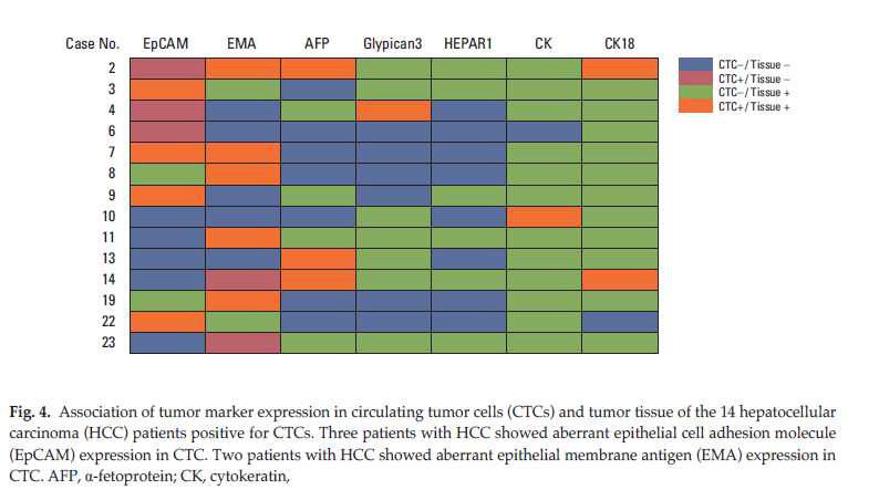 간암환자에서 CTC 간암표지자 후보군의 발현량 비교 분석 결과