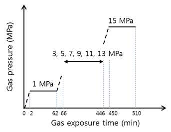 Gas charging process