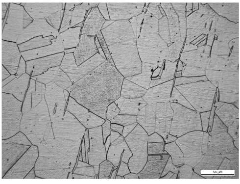 Microstructure of ASTM A 240 Gr. 316L steel from china