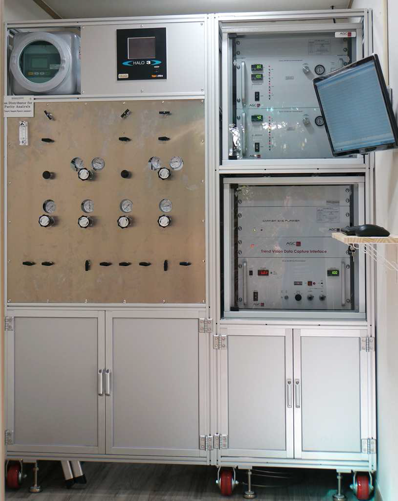 Test gas purity measurement system