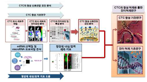 2-4팀 1단계 연구내용 대표도