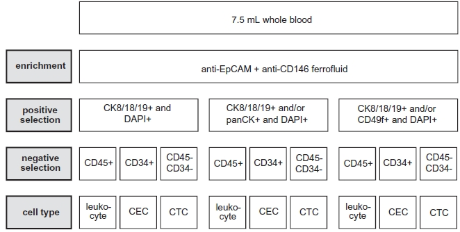 anti-EpCAM, anti-CD146, anti-EpCAM를 이용한 기본 발굴 방법에서 panCK, CD49f를 추가한 수정된 cellSearch CTC 분석시스템 개요도