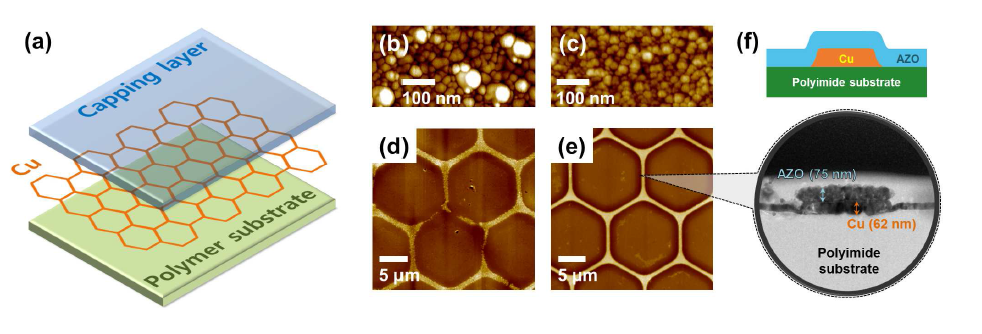 투명전극의 (a)모식도와 (b-e)AFM 및 (f)HRTEM 이미지.