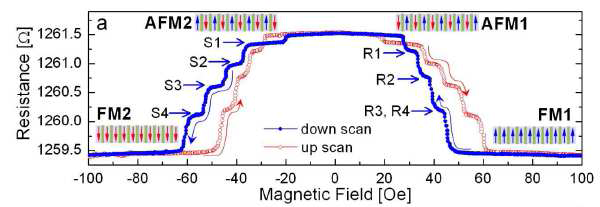 AFM coupling에 의해 나타나는 다중저항상태
