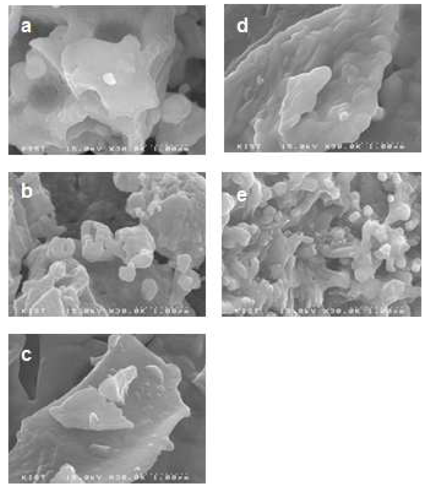 제조한 촉매의 SEM이미지