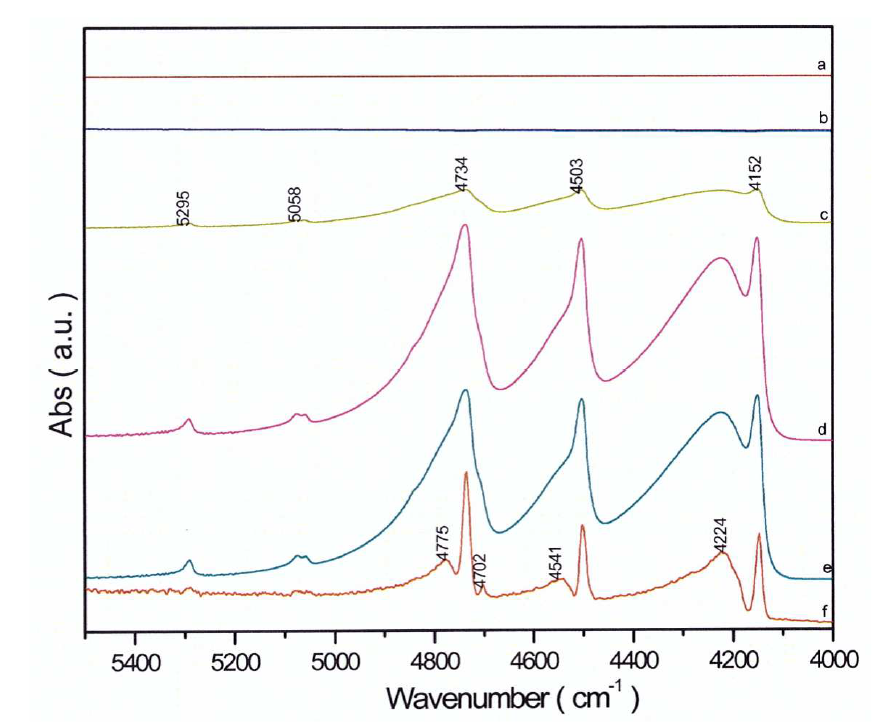 FT-IR spectra 분석