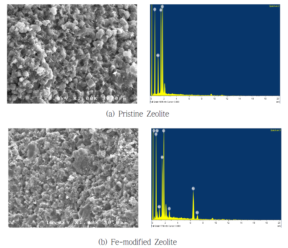이온교환법을 통해 합성된 Fe-Zeolite 표면 SEM 사진 및 EDS spectra