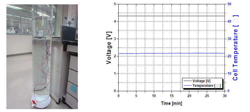 침수시험 침수동안의 Time - Voltage, Temperature Profile