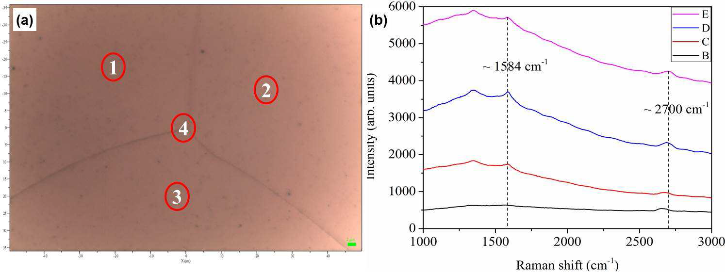 Cu-plate에 성장시킨 그래핀의 (a) 광학 이미지와 (b) 위치별 라만분광결과.