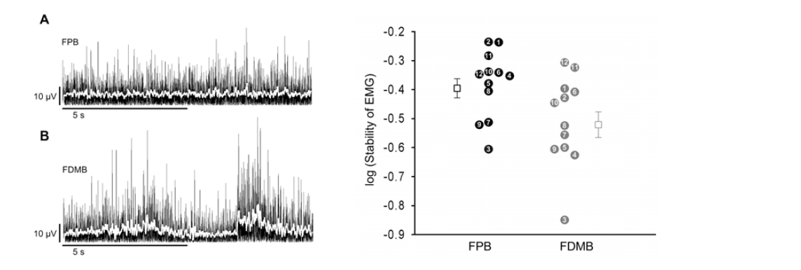 Left. Representative rectified electromyogram (EMG) and averaged EMG traces during steady-state flexor pollicis brevis (FPB) and flexor digiti minimi brevis (FDMB) contraction, respectively. White line indicate rectified and averaged EMG signal. Right. Individual stability of EMG for the FPB (black circle) and FDMB (grey circle) muscles for each subject (number)