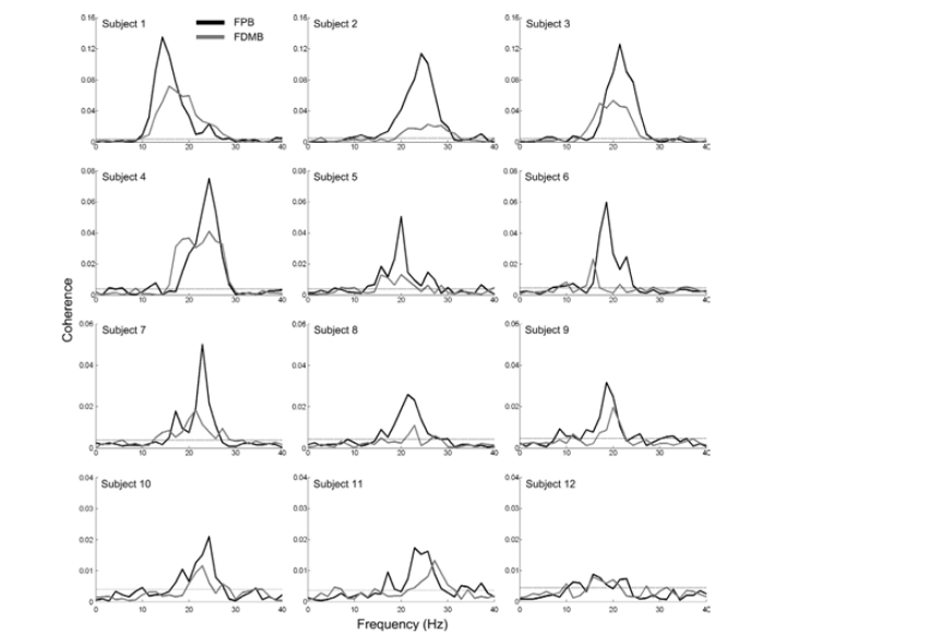 Primary motor cortex (M1)- .EMG coherence spectra