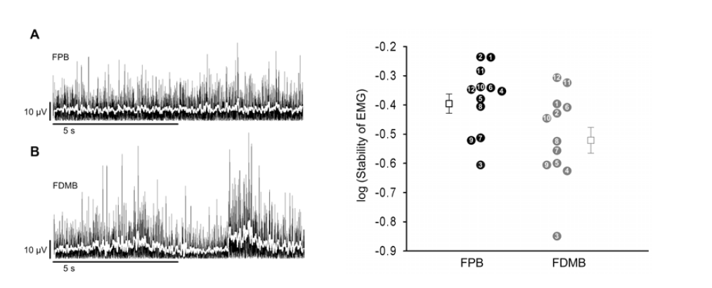 Left. Representative rectified electromyogram (EMG) and averaged EMG traces during steady-state flexor pollicis brevis (FPB) and flexor digiti minimi brevis (FDMB) contraction, respectively. White line indicate rectified and averaged EMG signal. Right. Individual stability of EMG for the FPB (black circle) and FDMB (grey circle) muscles for each subject (number). Empty squares are the respective mean value of the log-transformed stability of EMG for each muscle which showed statistically significant coherence across 12 subjects.