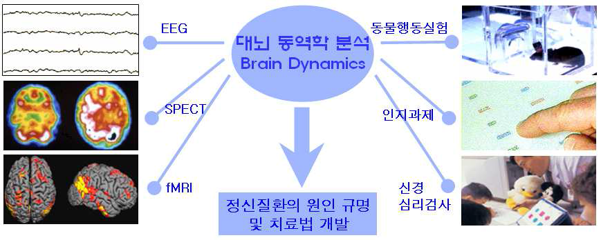 본 연구 기관의 기존 연구 모식도