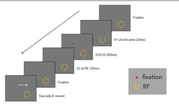 Trial sequence