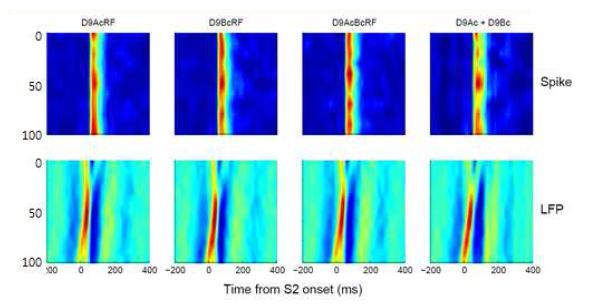 Linear summation of spike and LFP in SOA dependent manner