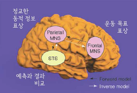 거울 시스템