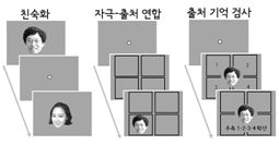 실험의 3단계 절차