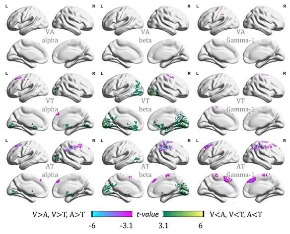 다양한 뇌파 주파수 범위에서, 각 감각 모달리티에 집중할 때 스펙트럼 파워의 차이를 보이는 뇌 영역.