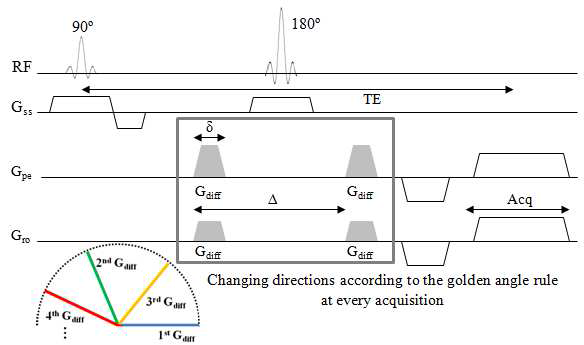 제안하는 방법의 pulse sequence diagram 과 황금비를 이용한 확산 경사자계의 방향 결정.