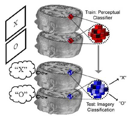 Multivoxel pattern analysis(MVPA)를 사용한 mind-reading