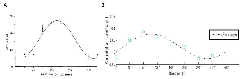 A. 신경세포의 방향선회곡선. B. fMRI 신호의 활성화 패턴분석에 의한 방향 선회곡선