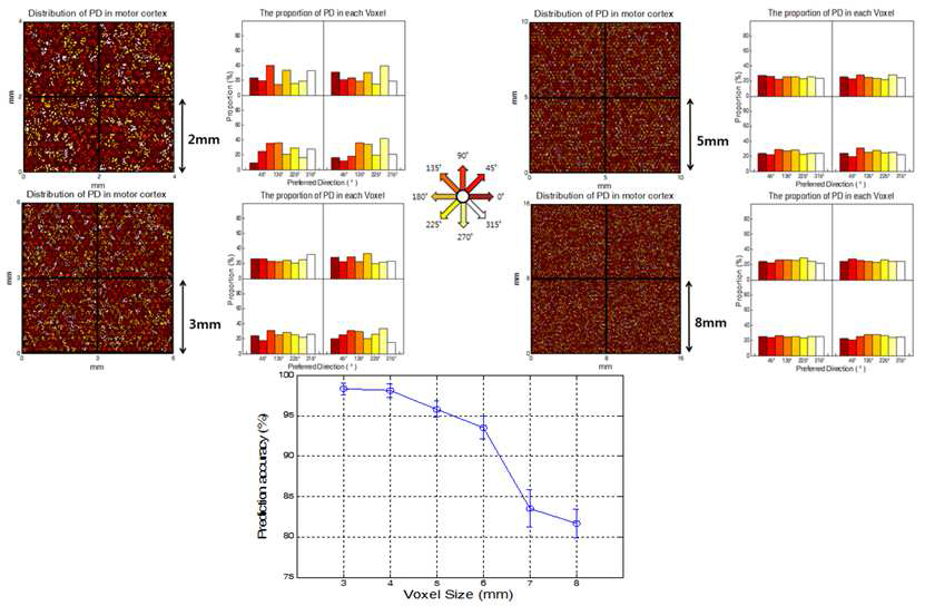 시뮬레이션 연구를 통한 복셀의 크기 변화에 따른 대뇌운동영역에서의 방향선택성 을 갖는 미니칼럼들의 분포특성과 복셀크기에 따른 MVPA에 의한 decoding 성능 결과.