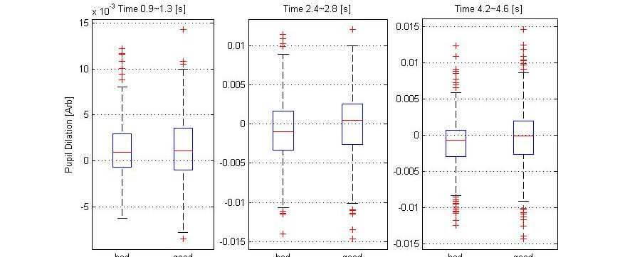 선별된 시간대에서의 동공크기 차이