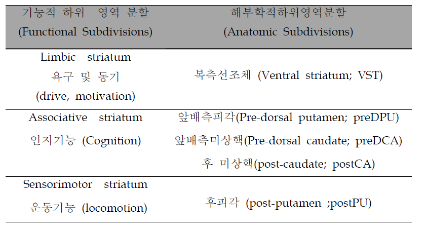 대뇌 선조체 영역의 해부학적 인지기능적 하위 영역 분할