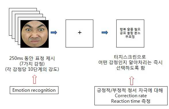 감정 인식 과제 개요