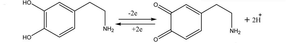 도파민의 산화 환원 반응 모식도