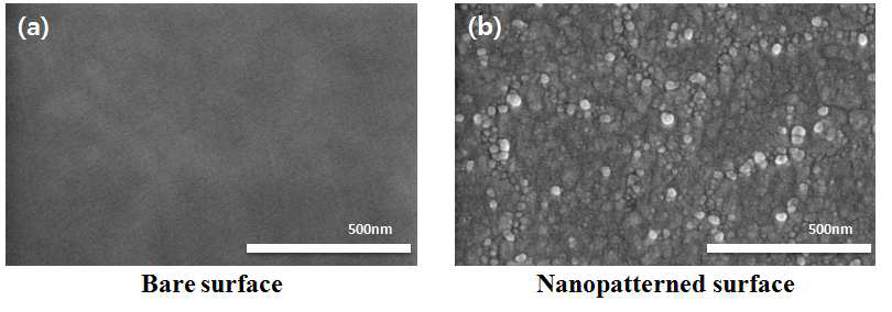 탐침형 센서의 표면 개질 전(a) 3차원 구조 나노패턴 제작(b) SEM 이미지