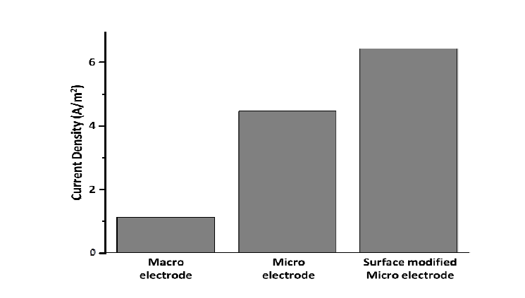 Macro 전극과 미소전극 그리고 표면을 개질한 미소전극의 단위면적당 산화전류 비교