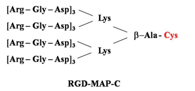 RGD-MAP-C의 펩타이드 서열