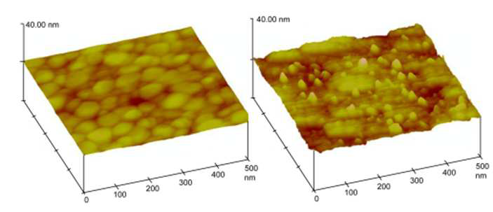 금기판과 펩타이드 고정화된 기판의 원자력현미경 이미지