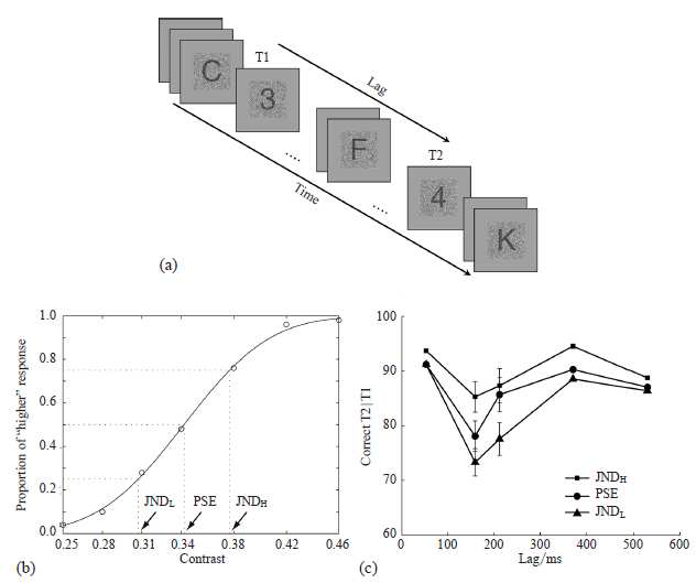 (a) 연구 절차 (b) 개인별 심리 측정 함수 측정 (c) 자극 강도에 따른 정확률
