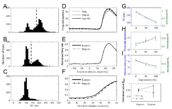 Gap duration에 따른 원숭이 saccade latency (A-C, G), firing rate (D, H), neural latency (I), 그리고 express/regular saccade에 따른 firing rate (E,F,J) 와 neural latency (J).